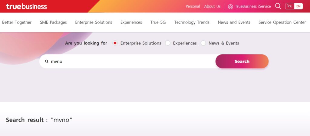 No result for MVNO search on TRUE's business website TRUE has a plan for the provisions of MVNOs but there are no result for MVNO on TRUE's business website